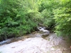 DSCN2754