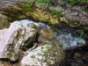 DSCN2758