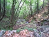 DSCN2764