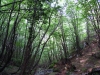 DSCN2765