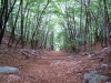 DSCN2767