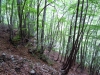 DSCN2768