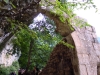 DSCN2771