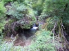 DSCN2775