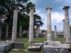 Saepinum-854-14