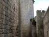 DSCN3725