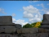 DSCN5949
