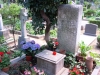 DSCN3017