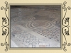 DSCN2178
