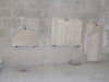 DSCN2198