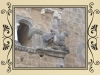 DSCN2249