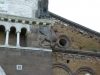 IMGP9825